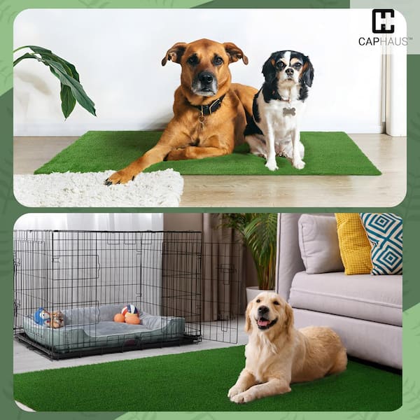 5x3.3ft Artificial Grass Mat Fake Lawn Pet Turf Synthetic Green