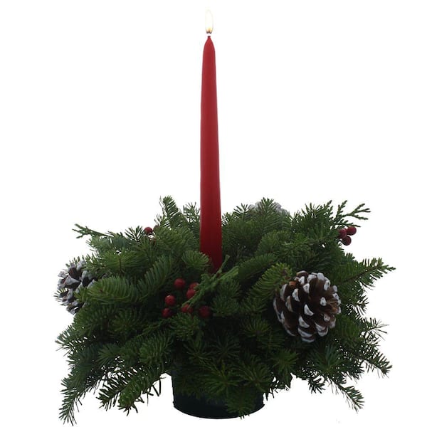 Worcester Wreath Balsam Fir Classic 1 Candle Small Fresh Centerpiece : Multiple Ship Weeks Available