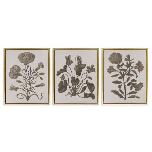 Vintage Country Botanicals by Lil' Rue 3 Pieces Gold Floater Frame Nature Graphic Art Print 21 in. x 17 in.