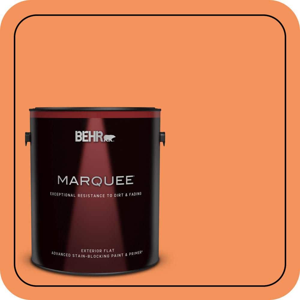 1 gal. #240B-5 Candied Yam Flat Exterior Paint & Primer price history on PriceWatchPro