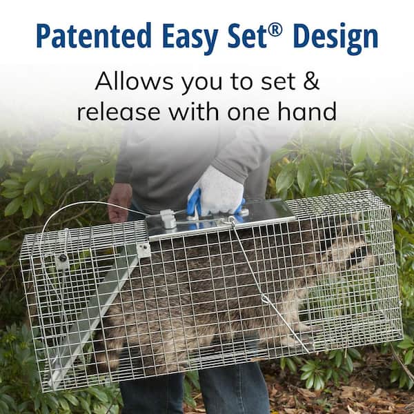 Havahart Large Live Catch Cage Trap For Cats and Raccoons 1 pk - Ace  Hardware
