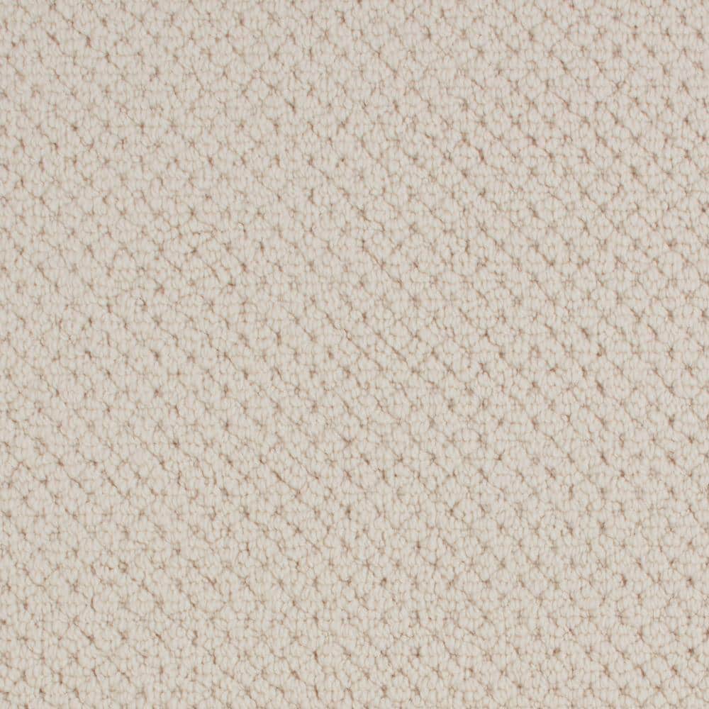 8 in. x 8 in. Pattern Carpet Sample - Abbotts Gate -Color Creamy price history on PriceWatchPro
