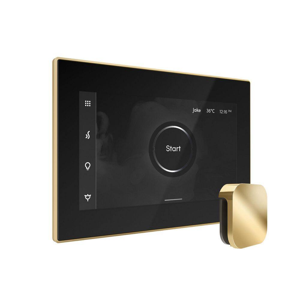 XDream Steam Shower Control Package with iSteamX Control and Linear Steamhead in Black Polished Brass