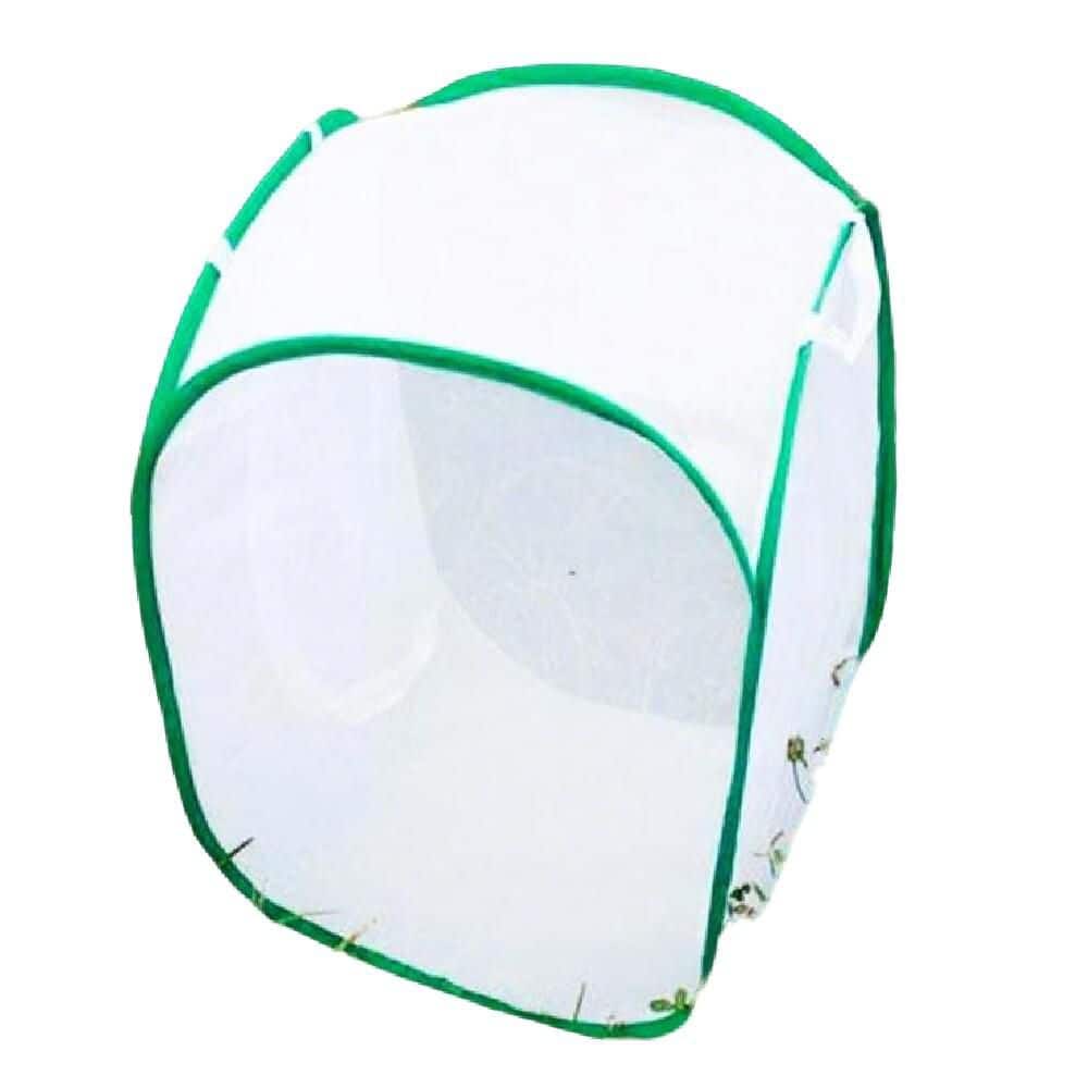 Pop Insect 24 in. Pop-Up Insect and Butterfly Habitat Cage Terrarium FBHC1624G ...