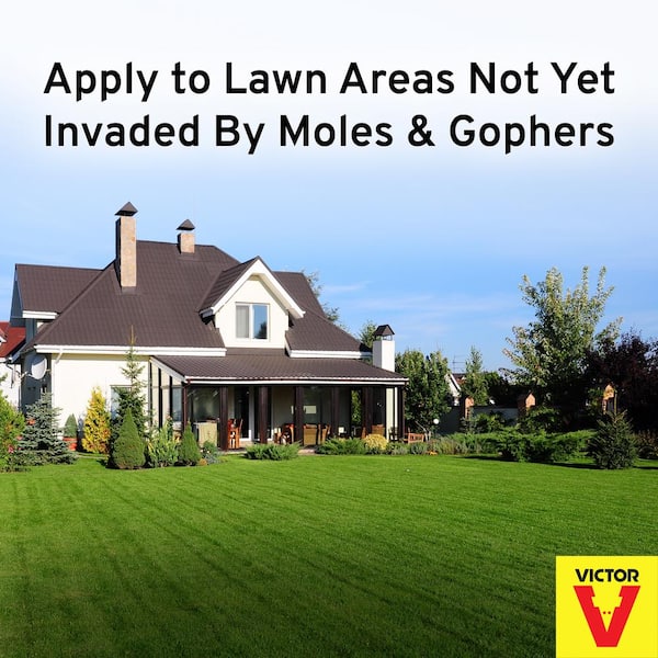 TOMCAT 4 lbs. Mole and Gopher Repellent Granules, Safe for Lawn