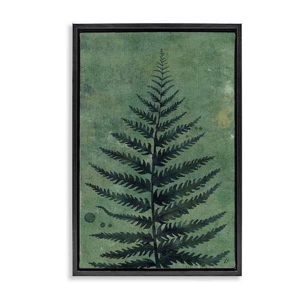 Stupell Industries Rustic Fern Impression by Lydia Orange Black Floater Frame Nature Graphic Art Print 31 in. x 21 in.