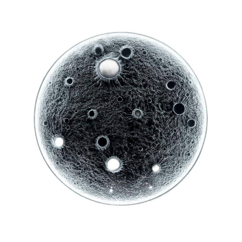 32 in. Gray 1 Light Resin Moon Chandelier with Dimmable LED, Remote Control, 30W Main & 10W Night Light for Living Room price history on PriceWatchPro