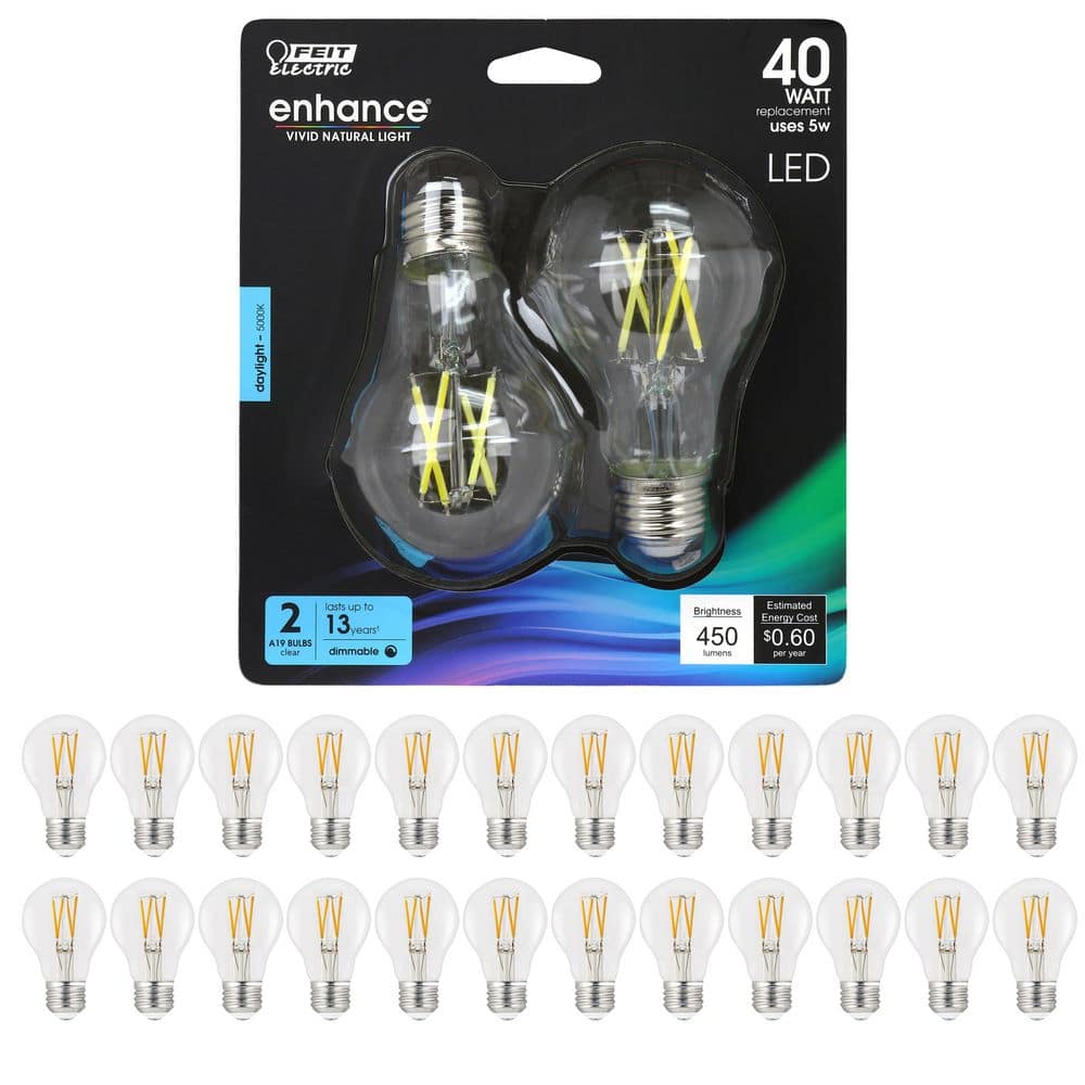 Feit Electric 40-Watt Equivalent A19 Dimmable CEC 90+ CRI Indoor Clear Glass E26 Medium Base LED Light Bulb, Daylight 5000K (24-Pack)