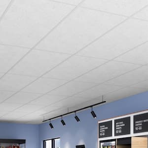 2 ft. x 4 ft. Fifth Avenue White Square Edge Lay-In Ceiling Tile, pallet of 160 (1280 sq. ft.)