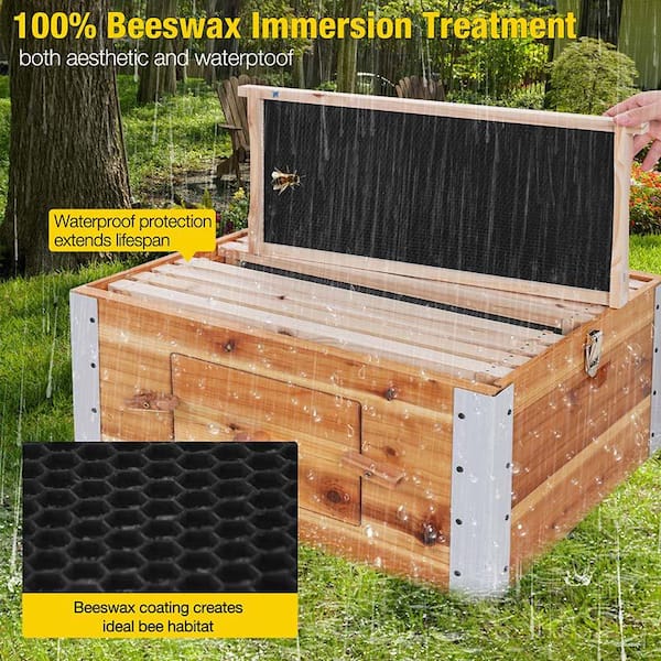 aivituvin Large Wooden Bee Box with Metal Frame, Beeswax Coating