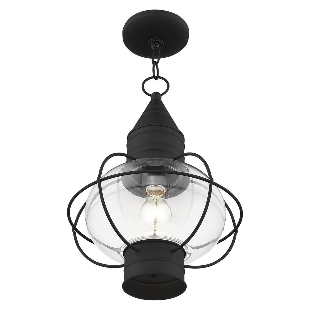 Black Nautical Outdoor Pendant Light with Clear Glass Globe