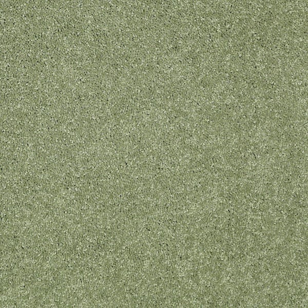 TrafficMaster 8 in. x 8 in. Texture Carpet Sample - Watercolors II - Color Spearmint