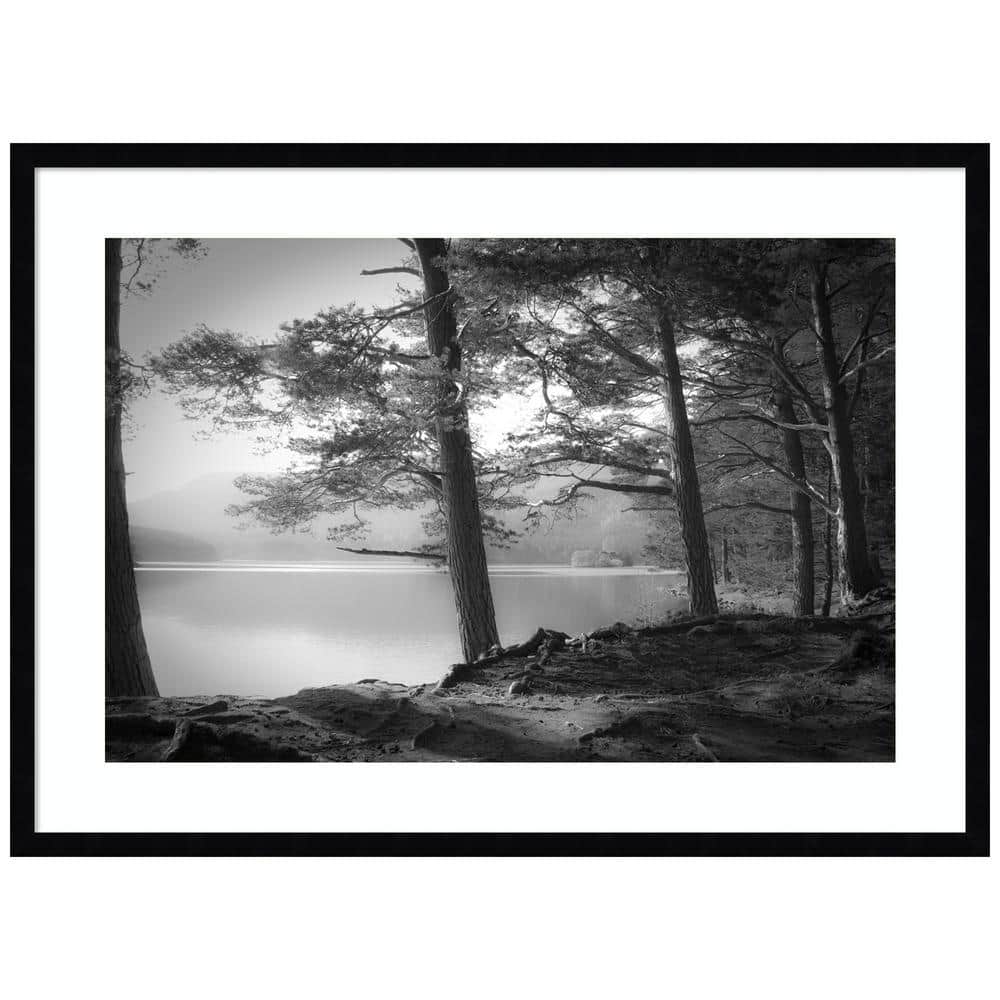 Scottish Lake by Dorit Fuhg 1-Piece Wood Framed Black and White Nature Photography Wall Art 24 in. x 33 in. price history on PriceWatchPro