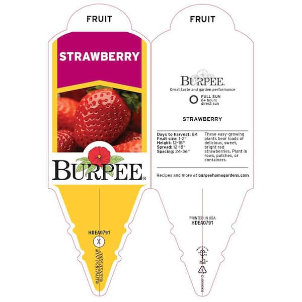 Burpee 1.0 PT Strawberry Fresca Plant 1013364391 - The Home Depot