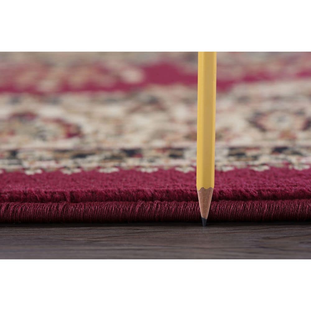 Sensation Red 9 ft. x 12 ft. Traditional Area Rug - thumbnail 3