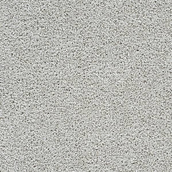 Friendship Fables-Whimsy Beige-25 oz. SD Polyester Texture Carpet - Installation Required
