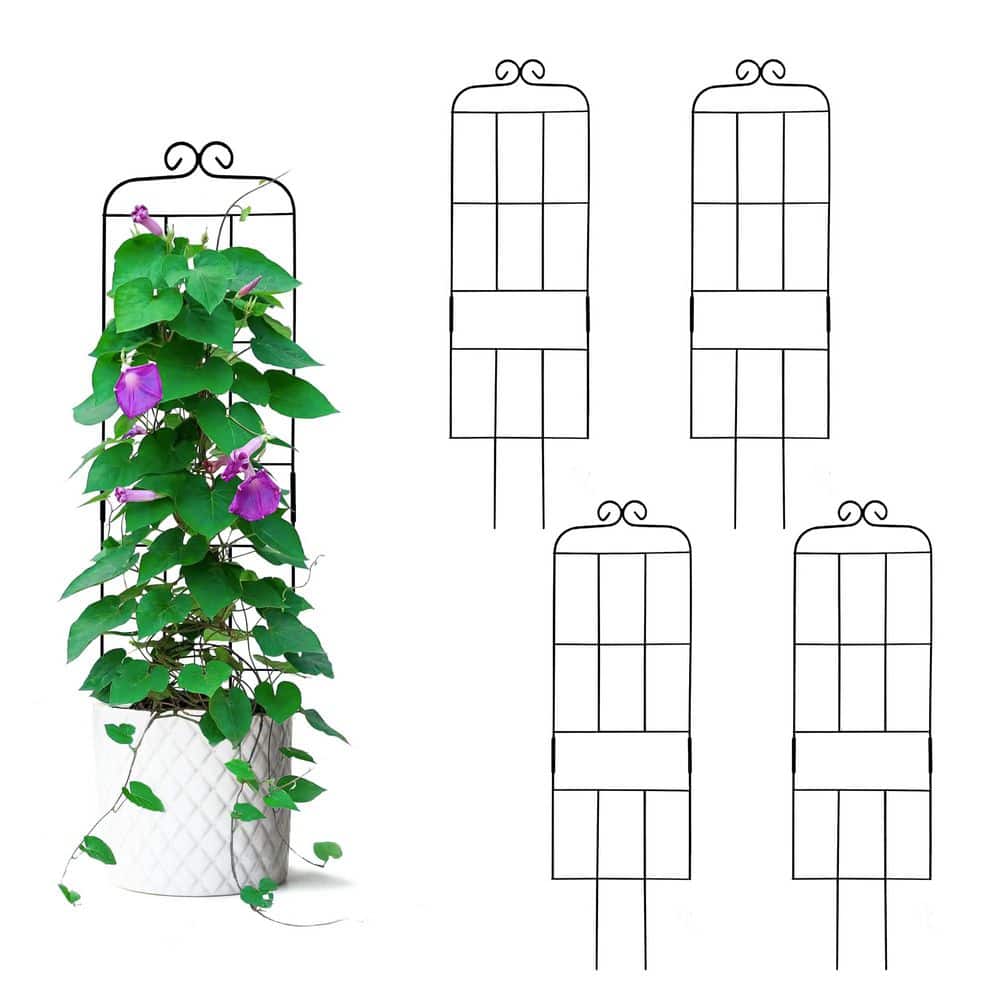 31.8 in. Metal Garden Trellis, Black Plant Support Trellis for Climbing ...