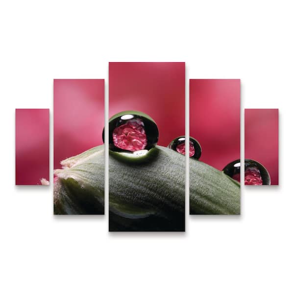 Trademark Fine Art Gordon Semmens Dew Drops Macro 06 5-Piece Panel Set Unframed Photography Wall Art 40 in. x 58 in.