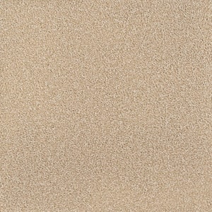 Spicework II  - Norwalk - Beige 60 oz. SD Polyester Texture Installed Carpet