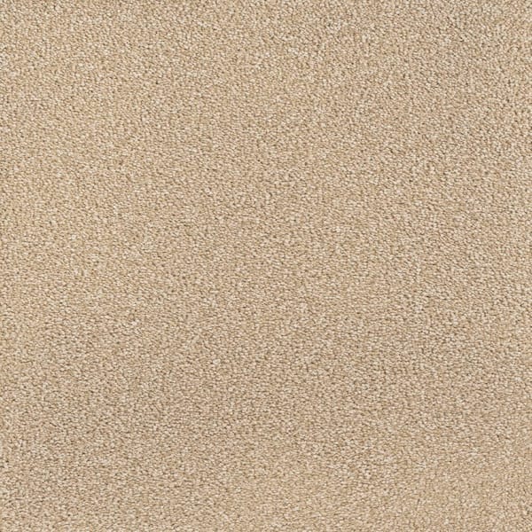Home Decorators Collection Spicework II  - Norwalk - Beige 60 oz. SD Polyester Texture Installed Carpet