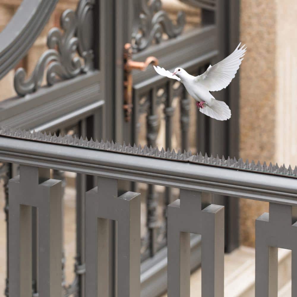 Pack of 10 Black Plastic Bird Deterrent Spikes for Fence and Wall