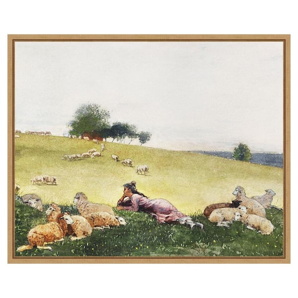Amanti Art Homers Sheep Countryside II by Winslow Homer 28 in. W x 23 in. H. Canvas Wall Art Print Framed in Brown