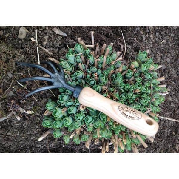 Short Handle Wood and Steel 5-Tine Garden Cultivator