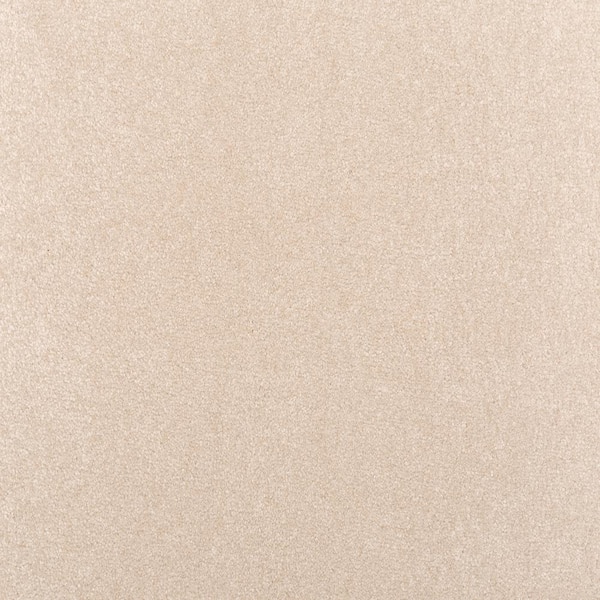 Lifeproof with Petproof Technology Waking Up I Misty Beige 37 oz. Triexta Textured Installed Carpet