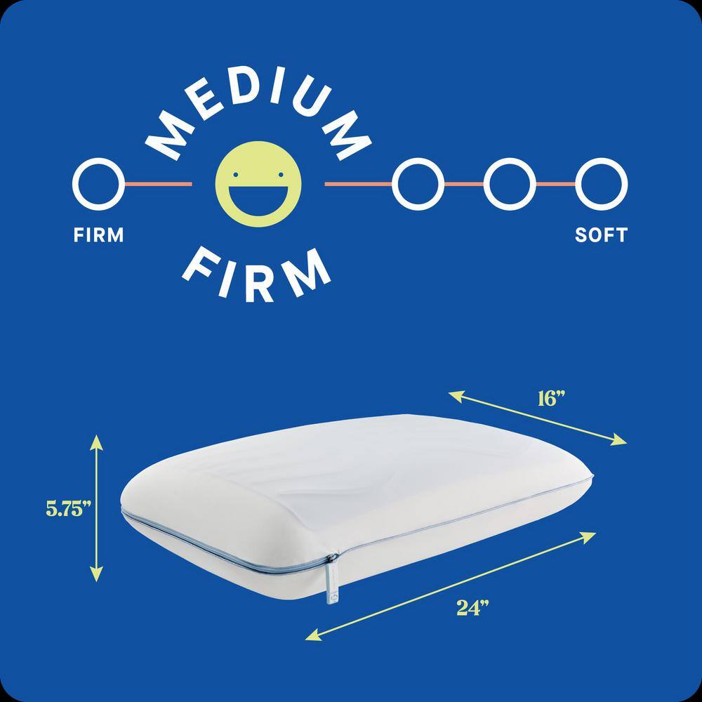 Sealy Dreamlife Standard Memory Foam Gel Pillow