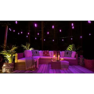 Outdoor/Indoor 36 ft. Plug-in S14 LED Smart String Light Kit with 18 Shatter Resistant Color Changing Bulbs 18 (2-Pack)