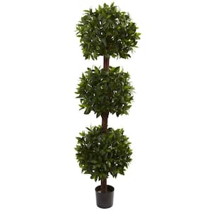 6.5 ft. Artificial Sweet Bay Triple Ball Topiary