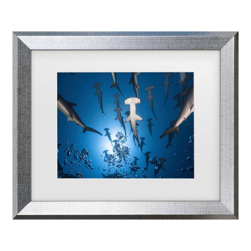 Trademark Fine Art Barathieu Gabriel Hammerhead Shark Matted Framed