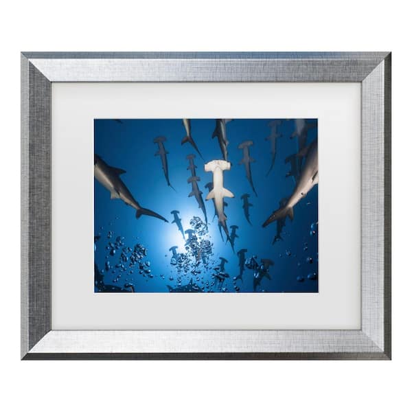 Bara Thieu Gabriel Hammerhead Shark Matted Framed Photography Wall Art 19.5 in. x 23.5 in