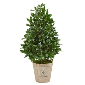 Indoor 39-In. Bay Leaf Cone Topiary Artificial Tree in Farmhouse Planter
