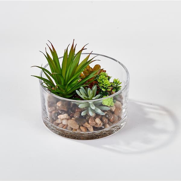 Worth Imports 5.5 in. Artificial Dish Garden Succulents in Round Glass  Container 1941 - The Home Depot