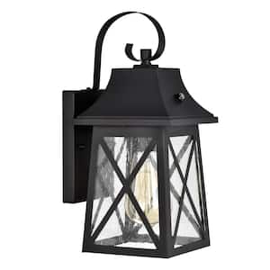 1-Light Matte Black Outdoor Wall Lantern Sconce with Clear Seedy