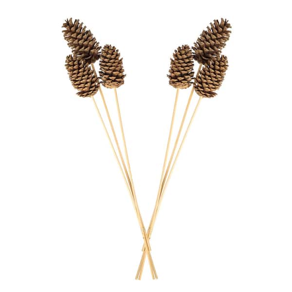 Bindle & Brass 21 in Loblolly Pinecones 3-Stem - Dried Natural (2-Pack)  BB35-100262 - The Home Depot
