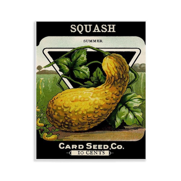 Stupell Industries Vintage Garden Squash by Lil' Rue Unframed Food Graphic Art Print 14 in. x 11 in.