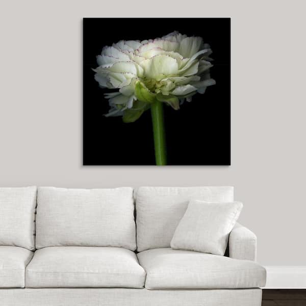 GreatBigCanvas "Ranunculus White" by Magda Indigo Canvas Wall Art