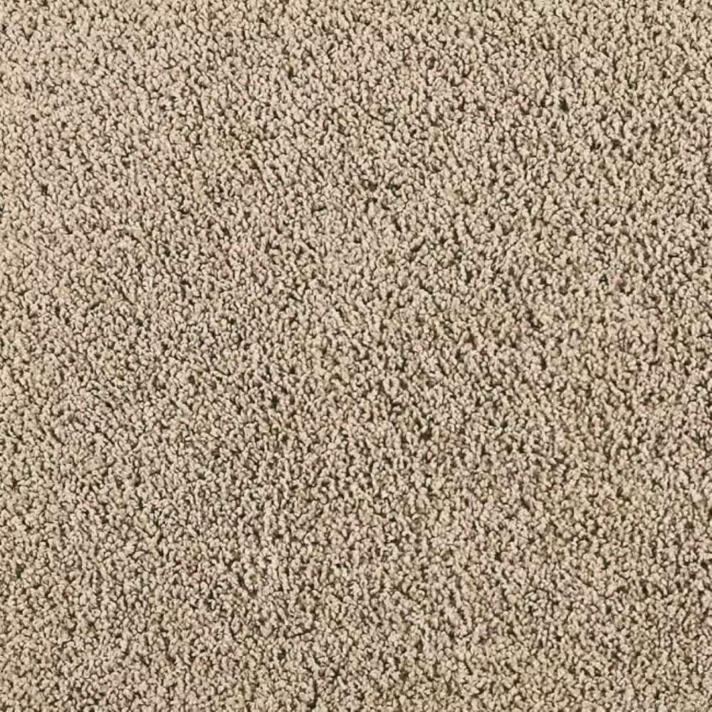 8 in. x 8 in. Texture Carpet Sample-Whisk & Whimsy I-Color Safari Tan price history on PriceWatchPro