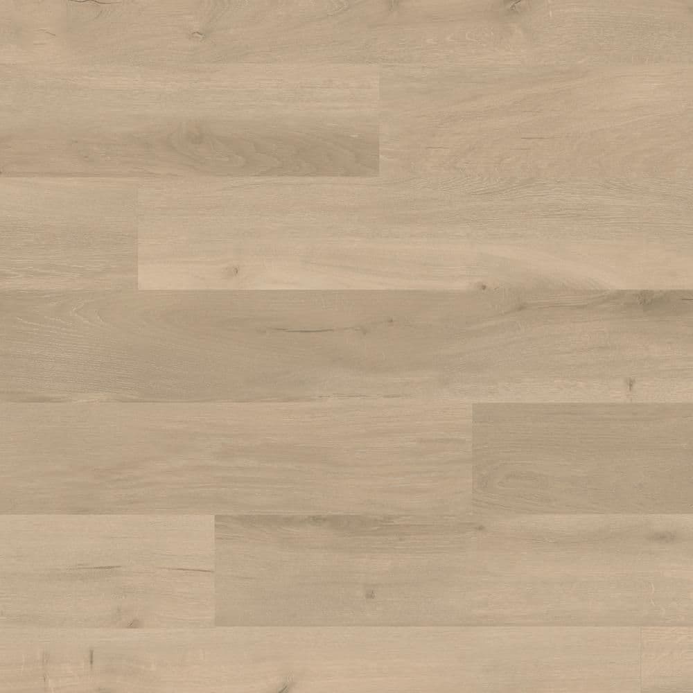 Nature's Paths® Collection | Wood, image size:1000x1000