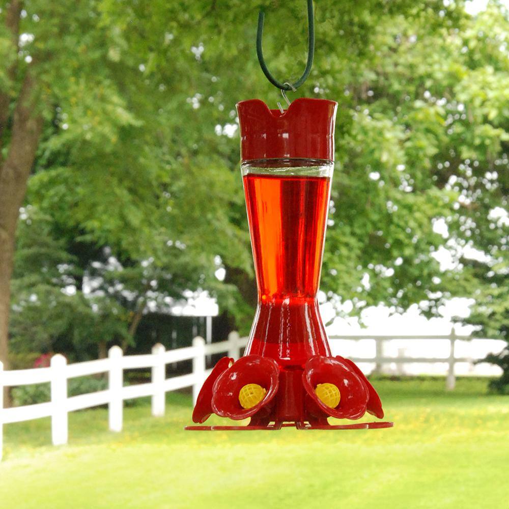 Red Glass and Plastic Hanging Hummingbird Feeder, 11-inch