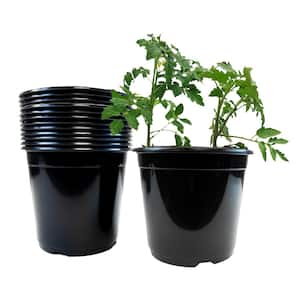 2 Gal. Black Plastic Nursery Pots (12-Pack)