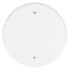 Mulberry White 1-Gang Blank Plate Wall Plate (1-Pack) 40430 - The Home ...