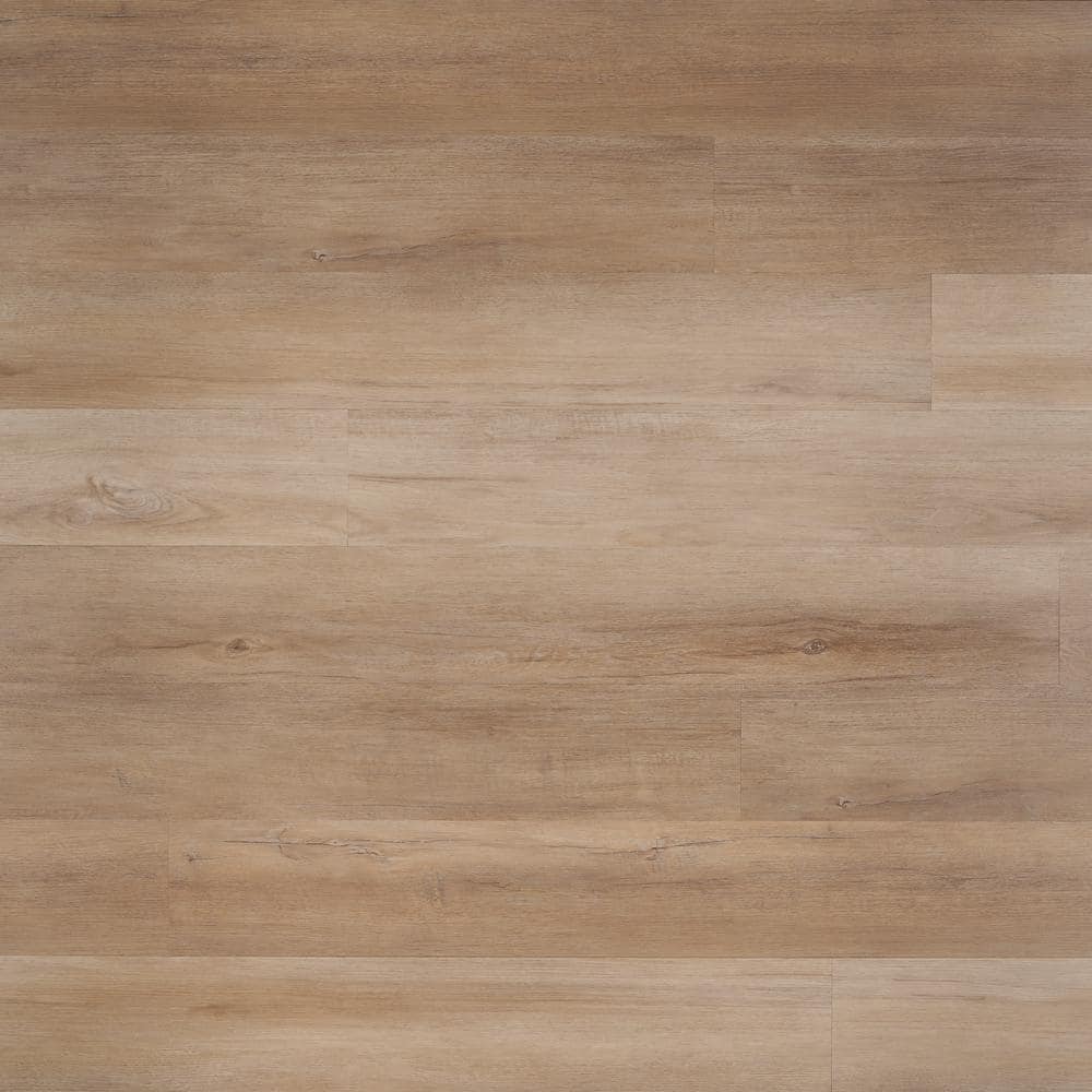 Take Home Sample - Oak Fawn Waterproof Rigid Core Click-Lock Luxury Vinyl Plank Flooring - 6 in. x 8 in. price history on PriceWatchPro