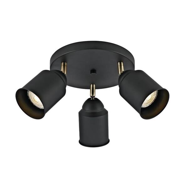 Addington Park 3-Light Industrial Canopy Light, Matte Black Finish and Antique Brass Accents