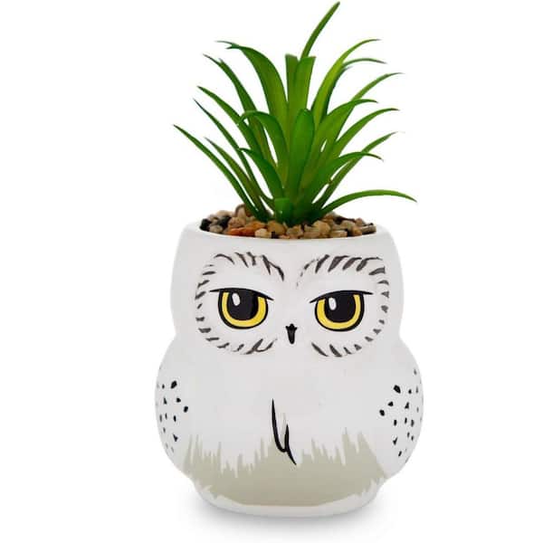 Harry Potter Hedwig 3 in. Ceramic Mini Planter with Artificial Succulent  ENHD31002 - The Home Depot