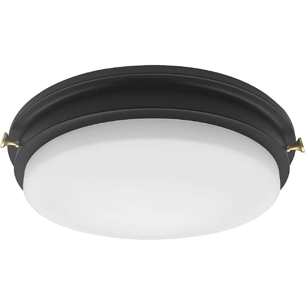 14'' Matte Black LED Flush Mount Ceiling Light with Frosted Glass Shade