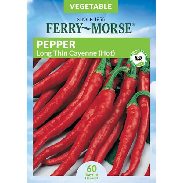 Ferry-Morse Pepper Long Thin Cayenne Fruit Seeds