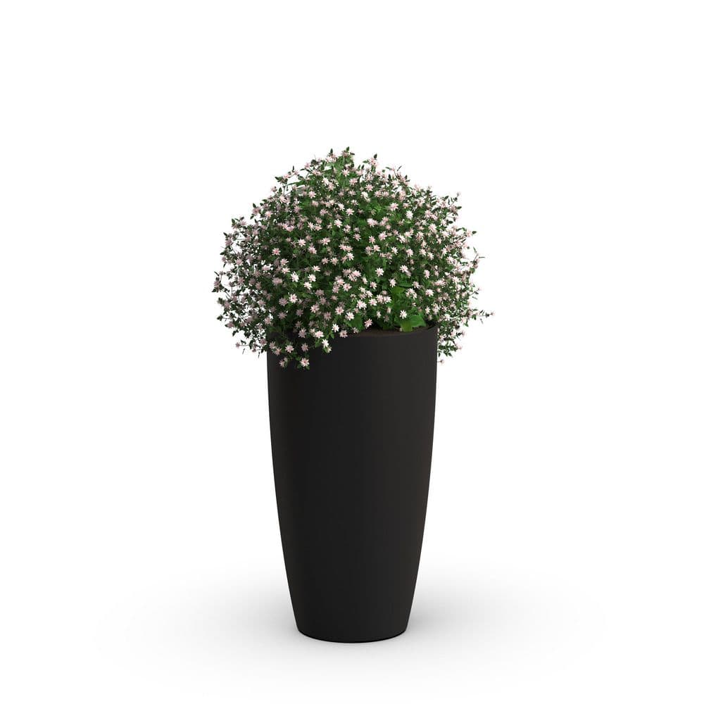 Solace Large Black Plastic Round Planter with Drainage Holes (12 in. L x 12 in. W x 22 in. H) (1-Pack) price history on PriceWatchPro